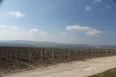 Mutigny